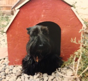 Casey & the red barn in Colorado