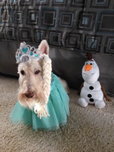 Queen Elsa (Sunny) and Olaf