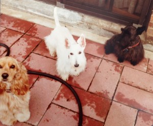 Buffy, Poo & Casey